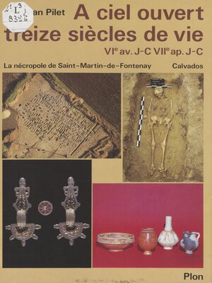 cover image of À ciel ouvert treize siècles de vie